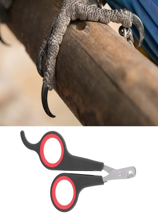 Kodrily Bird Nail Clippers, Stainless Steel Small Animal Nail Clippers, Half Moon Pet Nail Scissors, Plastic Handle Pet Nail Clipper Scissors, Clipper Bird Grooming for Small Parrot Birds - Image 2